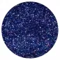 Preview: Tonic Studios • Nuvo glitter 35ml bluebell
