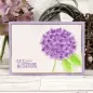 Preview: Moonstone Combos - Build a Hydrangea, Hunkydory