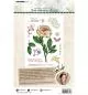 Preview: Studiolight Clear Stamp Peony Essentials nr.68