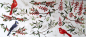 Preview: Re-Design with Prima, Winterberry Middy Transfers
