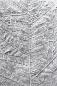 Preview: Sizzix, 3D Textured Impressions Leaf Veins