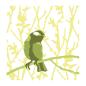 Preview: Sizzix, Layered Stencils by Olivia Rose Bird & Branches