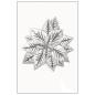 Preview: Sizzix, 3D Impresslits by Kath Breen Poinsettia