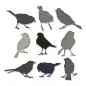 Preview: Sizzix • Thinlits Die Set Silhouette Birds