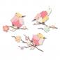 Preview: Sizzix • Thinlits Die Set Painted Birds