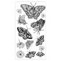 Preview: Sizzix, Clear Stamps by Lisa Jones Nature Butterflies