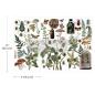 Preview: Re-Design with Prima, Botanical Archives 6x12 Inch Small Transfers