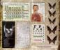 Preview: Idea-ology, Tim Holtz Transparent Halloween