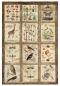 Preview: Ciao Bella, Cabinet of Curiosities A4 Rice Paper Mixed