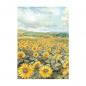 Mobile Preview: Stamperia, Sunflower Art A6 Rice Paper Backgrounds
