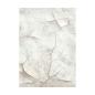 Preview: Stamperia, Silent Sea A6 Rice Paper Backgrounds