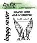 Preview: Picket Fence, Hoppin' Down the Bunny Trail 4x4 Inch Clear Stamps