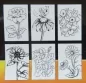 Preview: Spectrum Noir Colorista Pencil Karten Set - Sagen Sie es mit Blumen , Crafters Companion