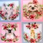 Preview: The Paper Boutique, Wild and Wonderful