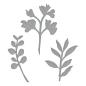Preview: Spellbinders, Victorian Garden Foliage Etched Dies