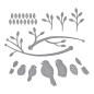 Preview: Spellbinders, Perched Birds Etched Dies