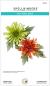Preview: Spellbinders, Spider Mum