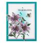 Preview: Spellbinders, Simon Hurley Beautiful Blooms Etched Dies