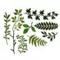 Mobile Preview: Sizzix • Thinlits Stanzschablone Gartengrün