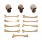 Preview: Idea-ology, Tim Holtz Halloween Skulls + Bones