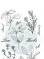 Preview: Craft Consortium The Herbarium Clear Stamps Herbs