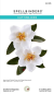 Preview: Spellbinders, Southern Magnolia