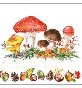 Ambiente - 5 Servietten Mushrooms