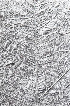 Sizzix, 3D Textured Impressions Leaf Veins