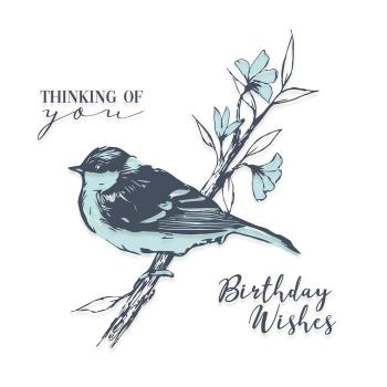 Sizzix • Layered Clear Stamps Summer Bird