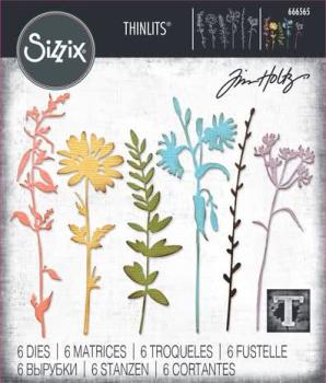 Sizzix, Thinlits Die by Tim Holtz Vault Wildflowers