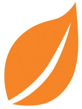 Aladine, Izink Natural Deco Paint Saffron Orange