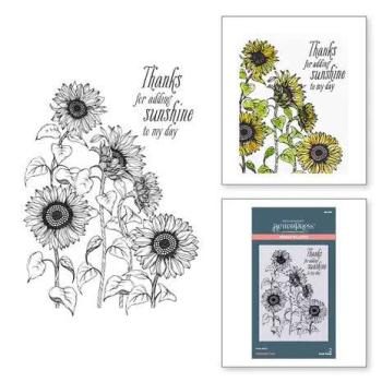 Spellbinders, BetterPress Sunflower Field Press Plate