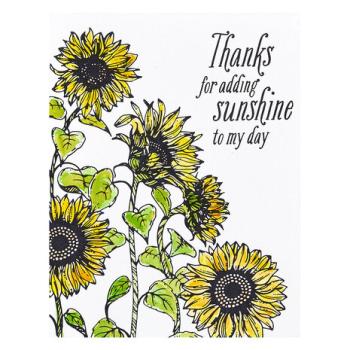 Spellbinders, BetterPress Sunflower Field Press Plate