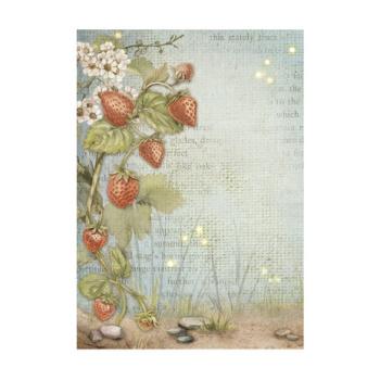 Stamperia, Hidden Grove A6 Rice Paper Backgrounds