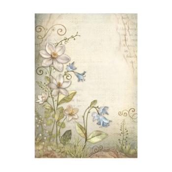 Stamperia, Hidden Grove A6 Rice Paper Backgrounds