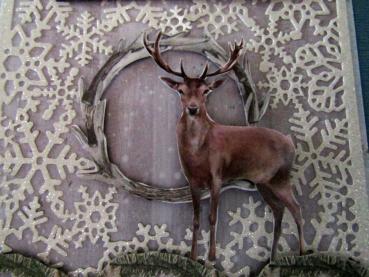 GALERIE, Grußkarte Crafters Companion, Sara Signature The Snow Queen Metal Die Frozen Dreams