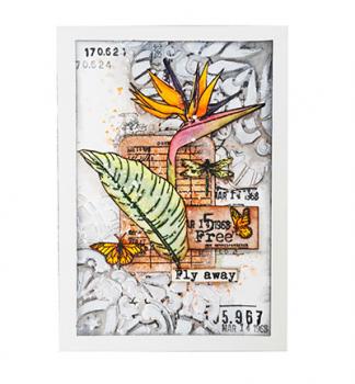 Studiolight, Stamp Script Strelitzia Feelings of Freedom nr.420