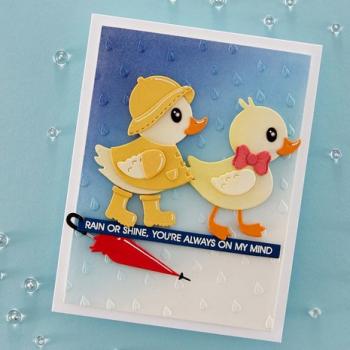 Spellbinders, Raindrops 3D Embossing Folder