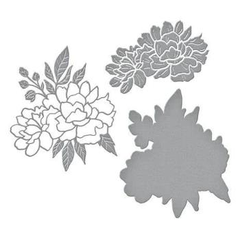 Spellbinders, Peony Celebration Etched Dies - Pfingstrose