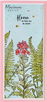 Marianne Design • Clear Stamps, Tiny's borders - Fern