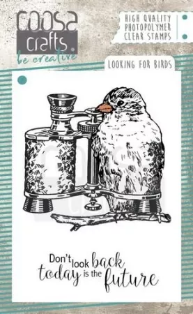 COOSA Crafts clearstamps A7 - Looking for Birds