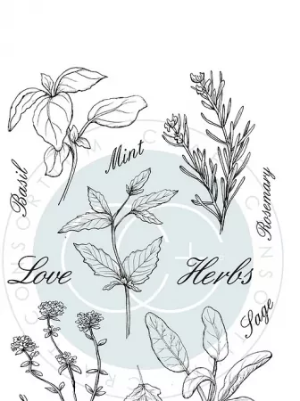 Craft Consortium The Herbarium Clear Stamps Herbs