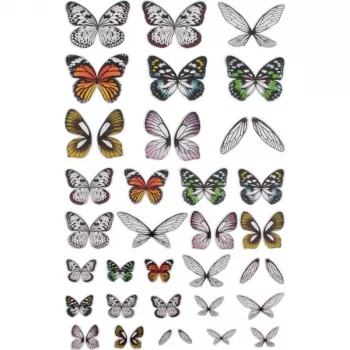 Idea-ology, Tim Holtz Transparent Wings