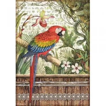Stamperia Rice Paper Amazonia Parrot