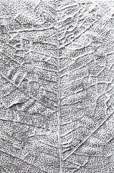 Sizzix, 3D Textured Impressions Leaf Veins
