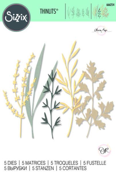Sizzix, Thinlits Die by Olivia Rose Woodland Stems