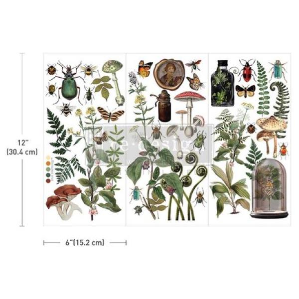 Re-Design with Prima, Botanical Archives 6x12 Inch Small Transfers