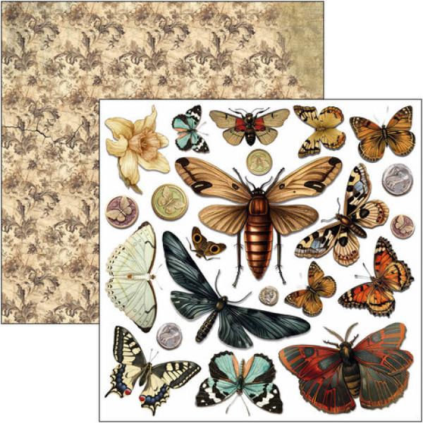 Ciao Bella, Cabinet of Curiosities 6x6 Inch Fussy Cut Pad
