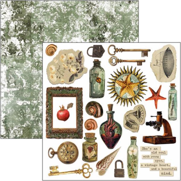 Ciao Bella, Cabinet of Curiosities 6x6 Inch Fussy Cut Pad