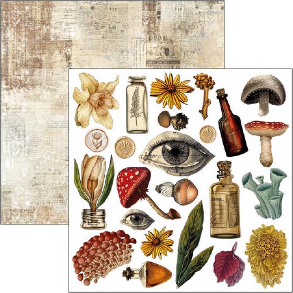 Ciao Bella, Cabinet of Curiosities 6x6 Inch Fussy Cut Pad